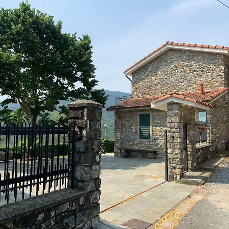 Gli Ulivi