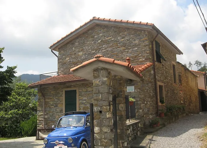 Farm stay Gli Ulivi
