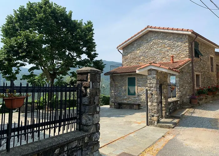 Gli Ulivi