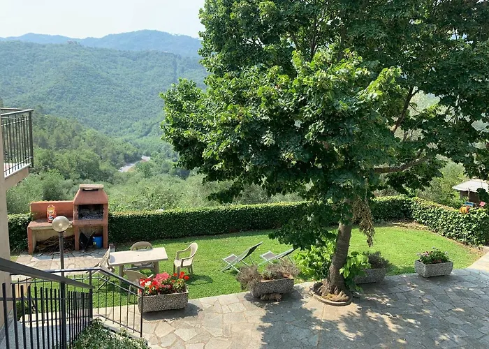 Gli Ulivi *